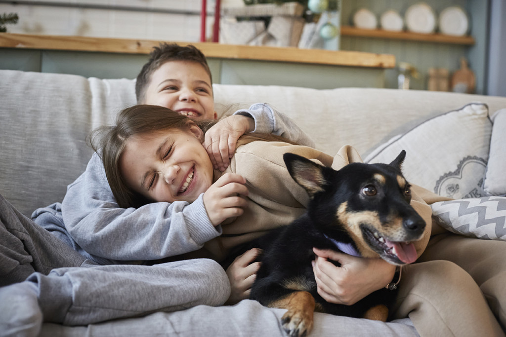 Responds appropriately to disclosures, allegations, and suspicions of harm.